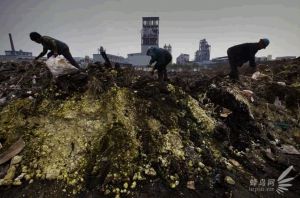 江苏泰兴化工园区的化工废料堆放长江堤上2009年5月15日