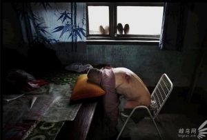 山西省临汾市某村村民长期饮用被工业污水污染的地下水，有五十多人得了癌症和脑血栓。64岁的王宝生在2003年发病，一直卧床不起，使他全身很多地方溃烂。不能上床睡觉，每天只能趴在床前过日子2005年7月10日