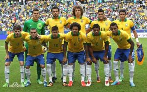 2014巴西队