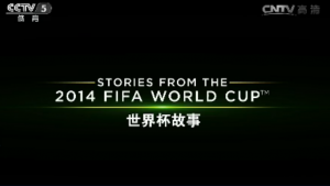 世界杯故事
