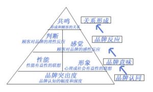 CBBE模型金字塔