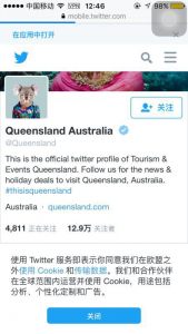 图4.1 截至到2016年11月10日昆士兰旅游局Twitter 关注者数量