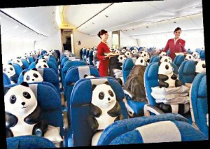 图1.1熊猫坐满机舱