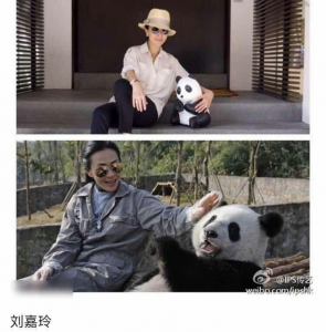 图3.2 刘嘉玲与熊猫合影
