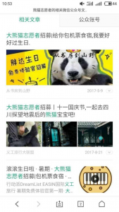 图4.3 大熊猫志愿者活动