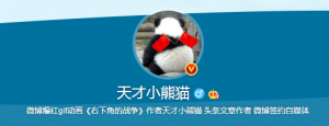 天才小熊猫微博界面